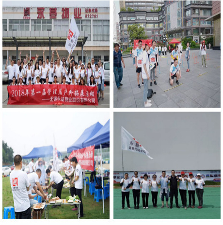 图片11 图片11